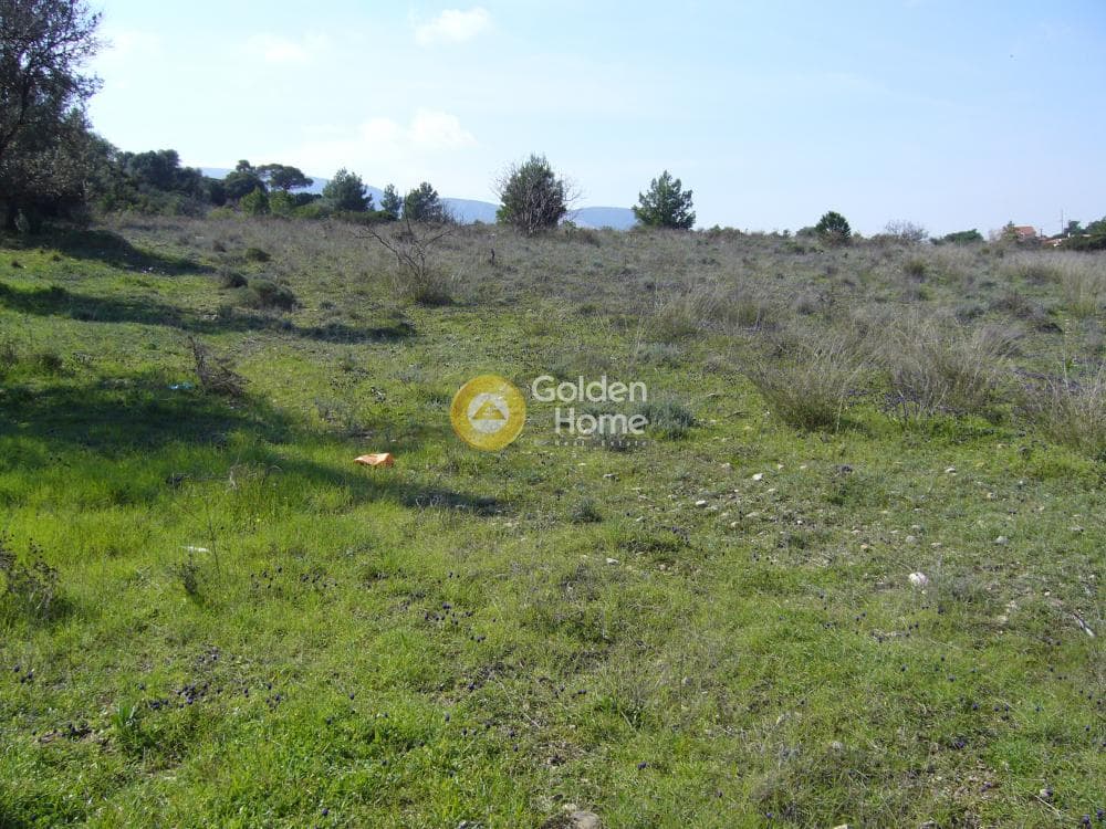 Building Plot in Limni Markopoulou, Markopoulo — Photo 7 of 16