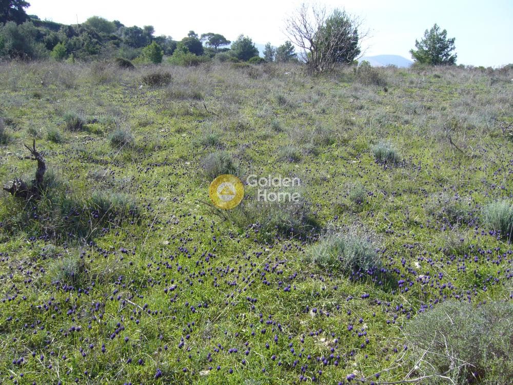 Building Plot in Limni Markopoulou, Markopoulo — Photo 8 of 16