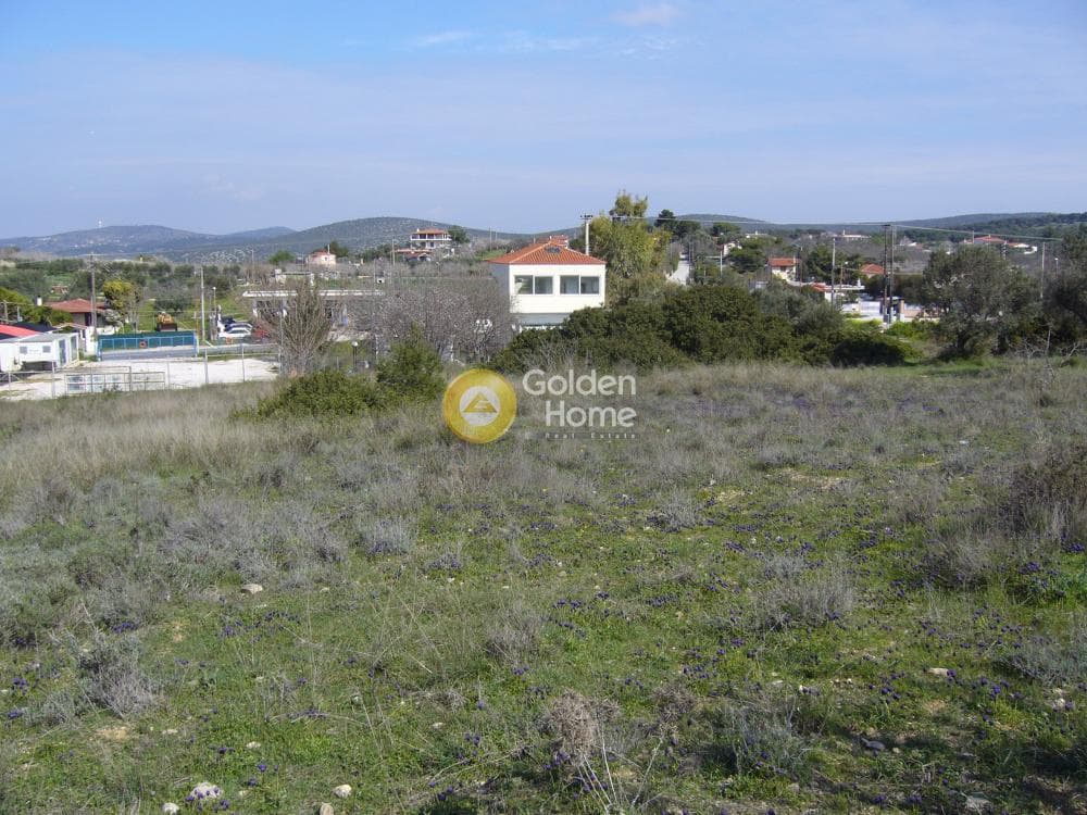 Building Plot in Limni Markopoulou, Markopoulo — Photo 11 of 16