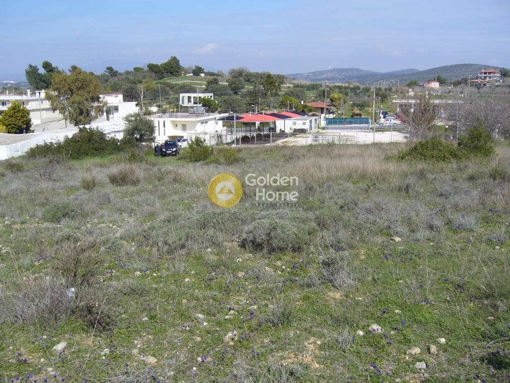Building Plot in Limni Markopoulou, Markopoulo — Photo 10 of 16