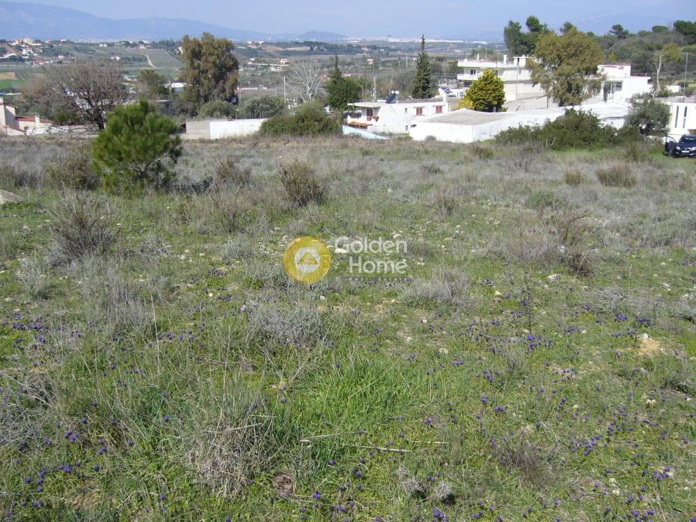 Building Plot in Limni Markopoulou, Markopoulo — Photo 5 of 16
