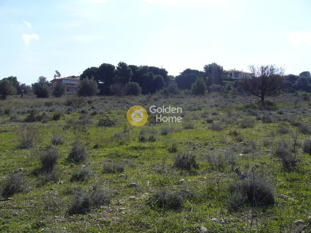 Building Plot in Limni Markopoulou, Markopoulo — Photo 15 of 16
