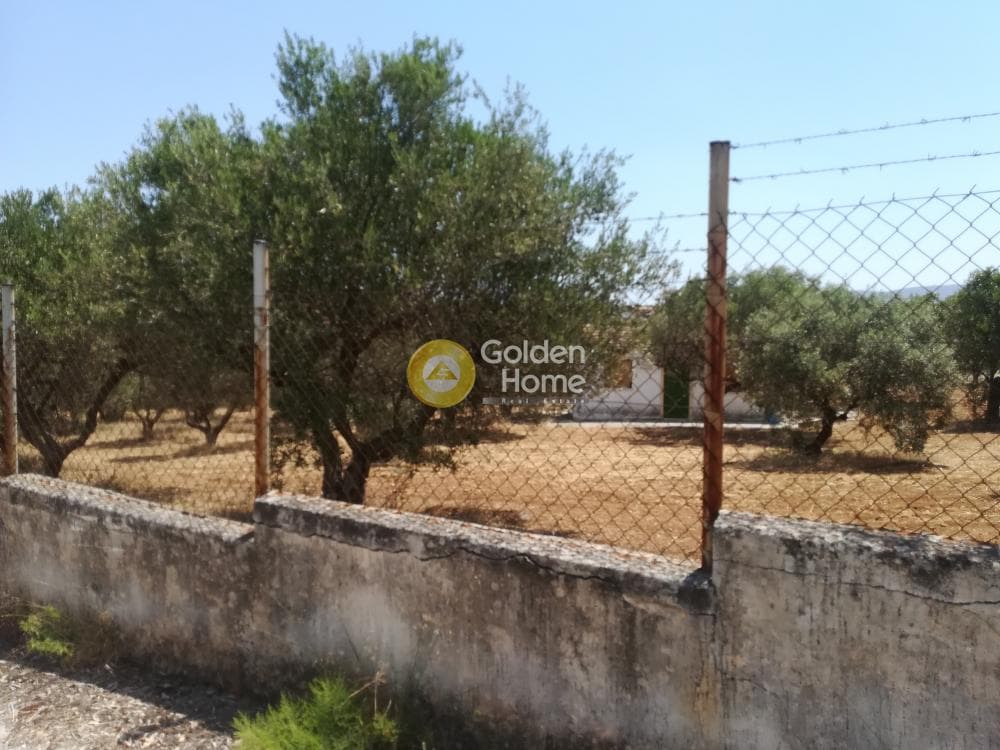 Building Plot in Lamprika, Koropi — Photo 1 of 7