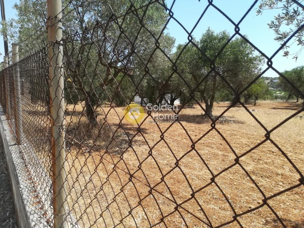 Building Plot in Lamprika, Koropi — Photo 2 of 7