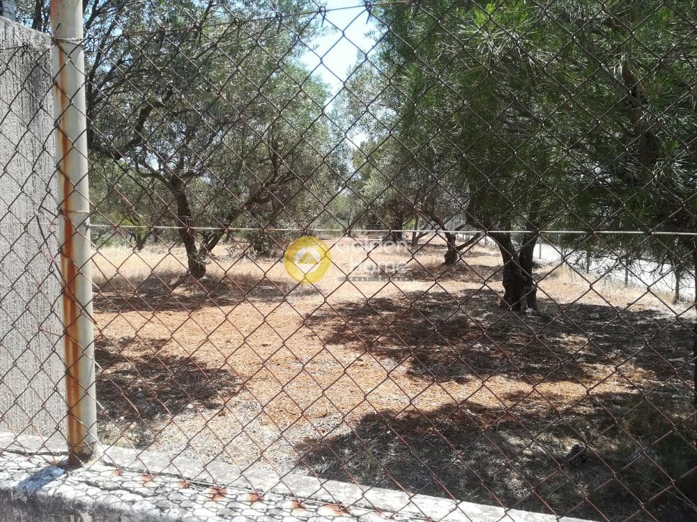 Building Plot in Lamprika, Koropi — Photo 3 of 7