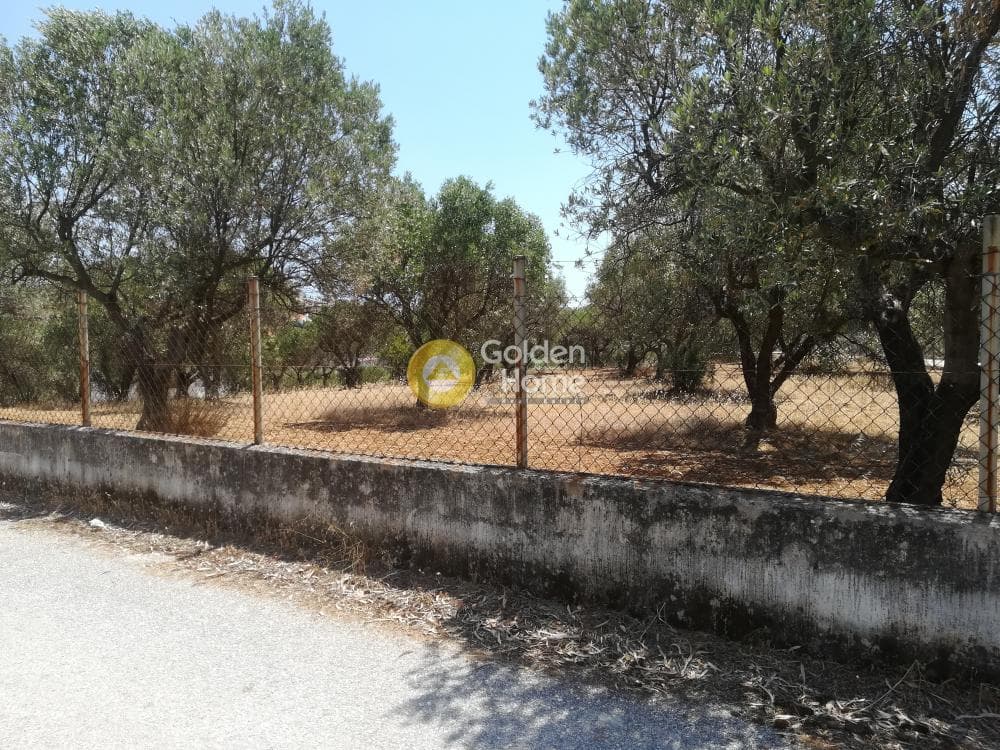 Building Plot in Lamprika, Koropi — Photo 4 of 7