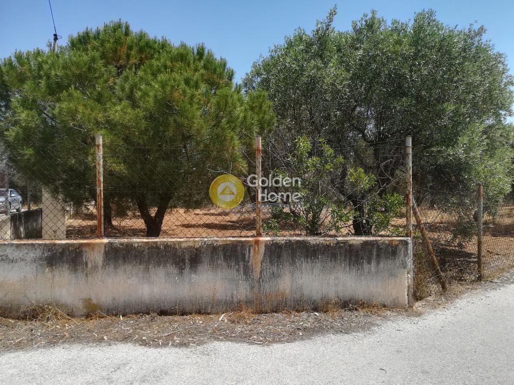 Building Plot in Lamprika, Koropi — Photo 5 of 7