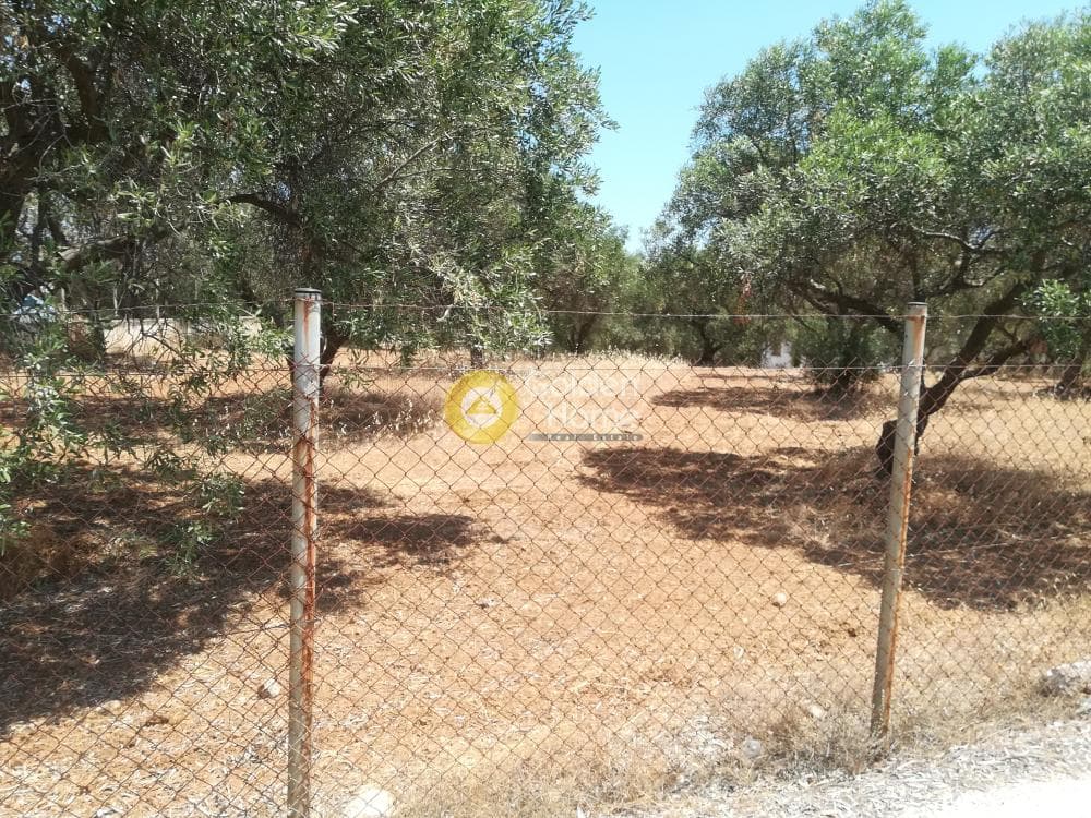 Building Plot in Lamprika, Koropi — Photo 7 of 7