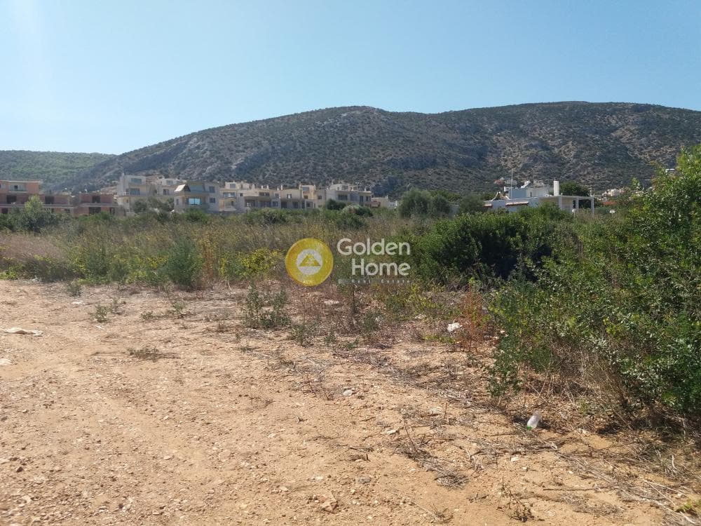 Οικόπεδο στην Πόρτο Ράφτη, Βραυρώνα — Φωτογραφία 5 από 11