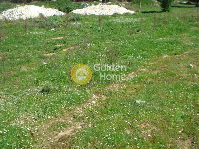 Parcel in Kefleika, Kalivia Thorikou — Photo 1 of 5