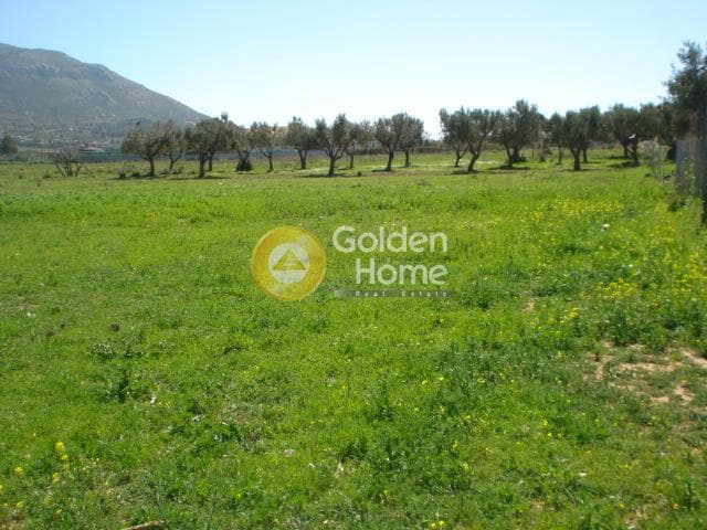 Parcel in Kefleika, Kalivia Thorikou — Photo 3 of 5