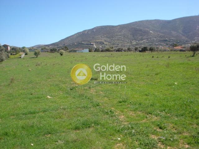 Parcel in Kefleika, Kalivia Thorikou — Photo 4 of 5