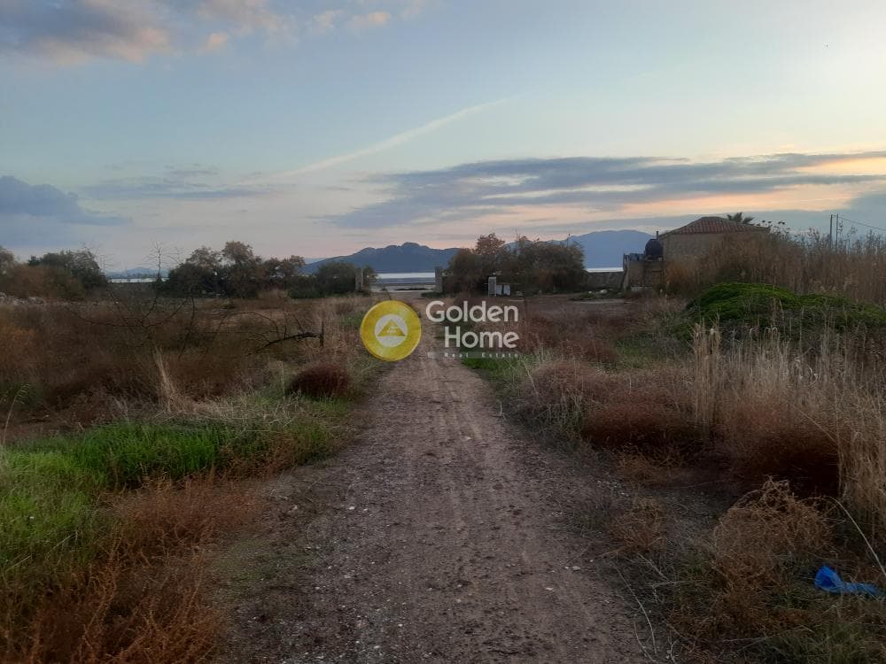 Αγροτεμάχιο στην Παγώνι, Αίγινα — Φωτογραφία 3 από 7