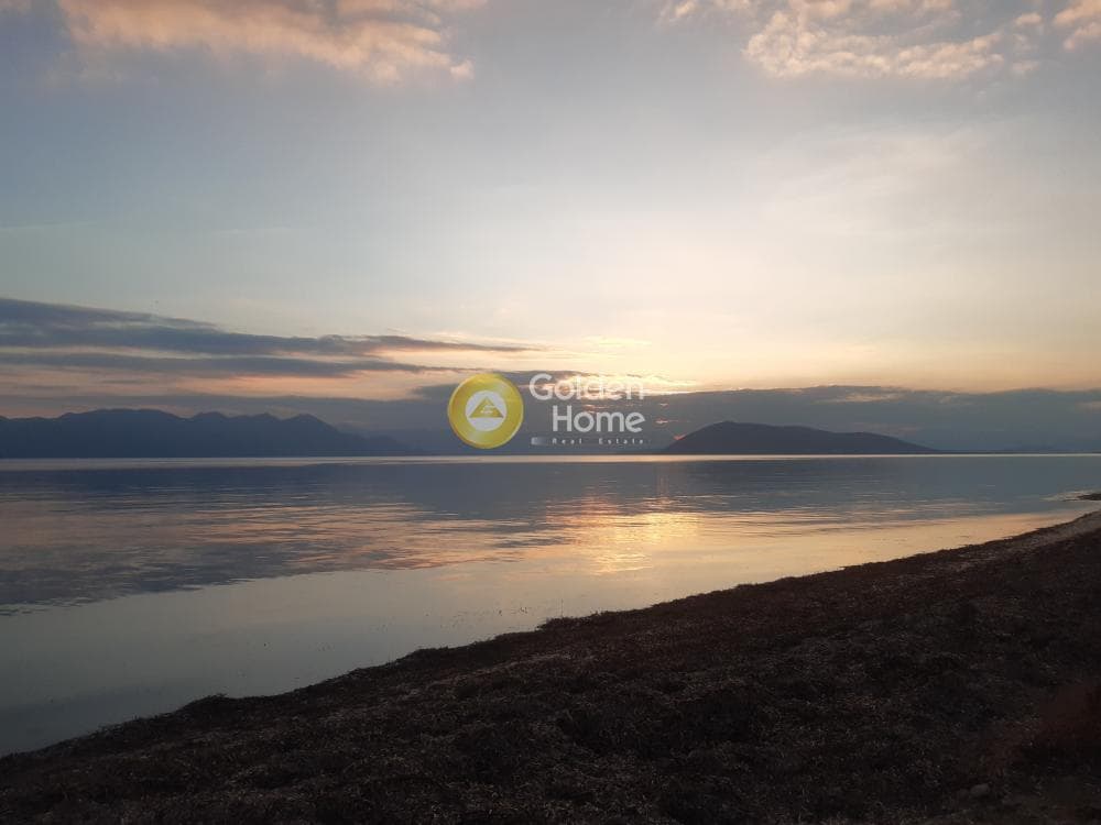 Αγροτεμάχιο στην Παγώνι, Αίγινα — Φωτογραφία 7 από 7