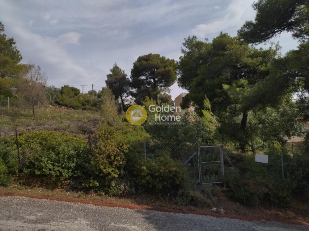 Building Plot in Anthousa, Anthoisa — Photo 3 of 3