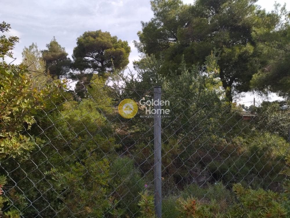 Building Plot in Anthousa, Anthoisa — Photo 2 of 3