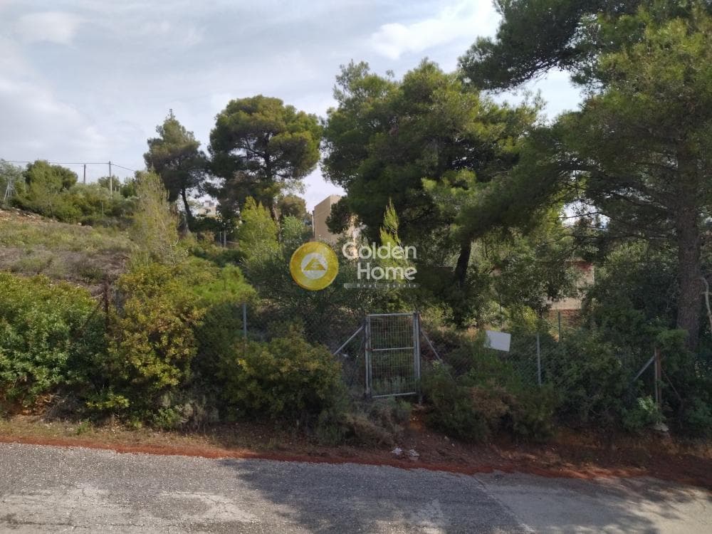 Building Plot in Anthousa, Anthoisa — Photo 1 of 3