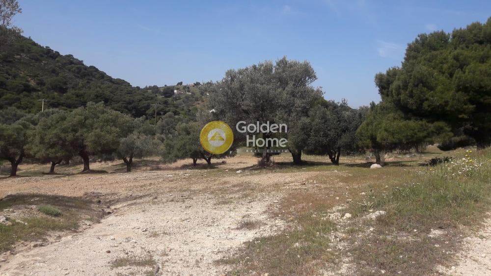 Building Plot in Plaka, Keratea — Photo 3 of 3