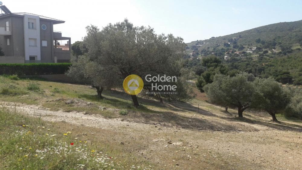 Building Plot in Plaka, Keratea — Photo 3 of 3