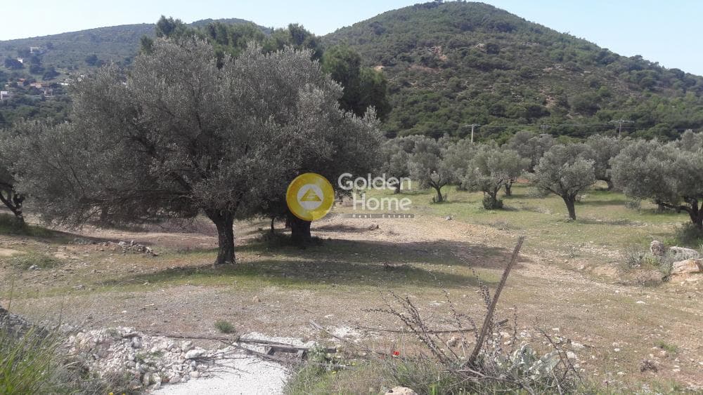 Building Plot in Plaka, Keratea — Photo 2 of 3