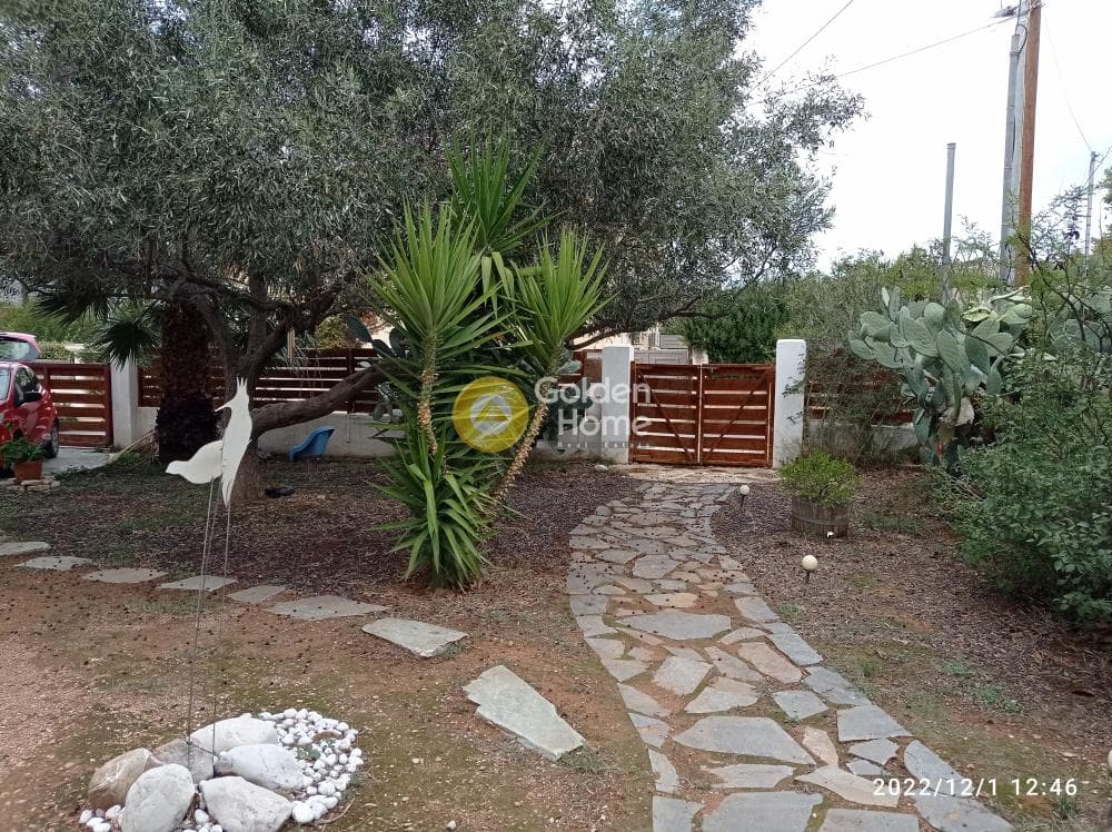 Μονοκατοικία στην Κόρμπι, Βάρη - Βάρκιζα — Φωτογραφία 15 από 16