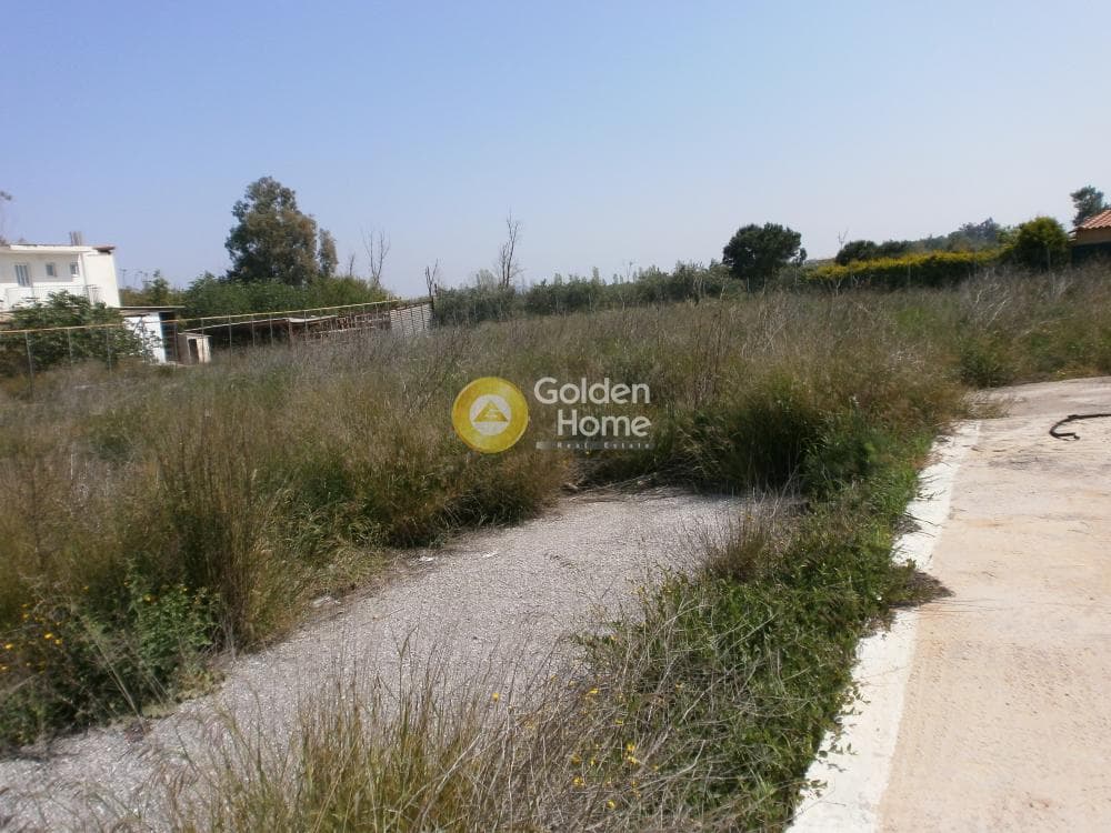 Οικόπεδο στην Άγιος Ανδρέας, Νέα Μάκρη — Φωτογραφία 1 από 5