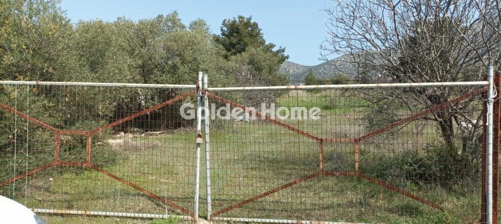 Parcel in Κέντρο, Kalivia Thorikou — Photo 2 of 12