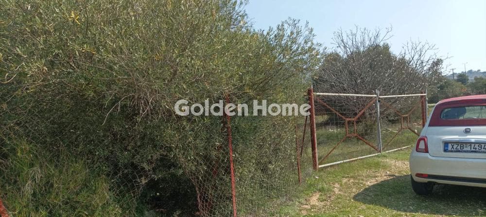 Parcel in Κέντρο, Kalivia Thorikou — Photo 4 of 12