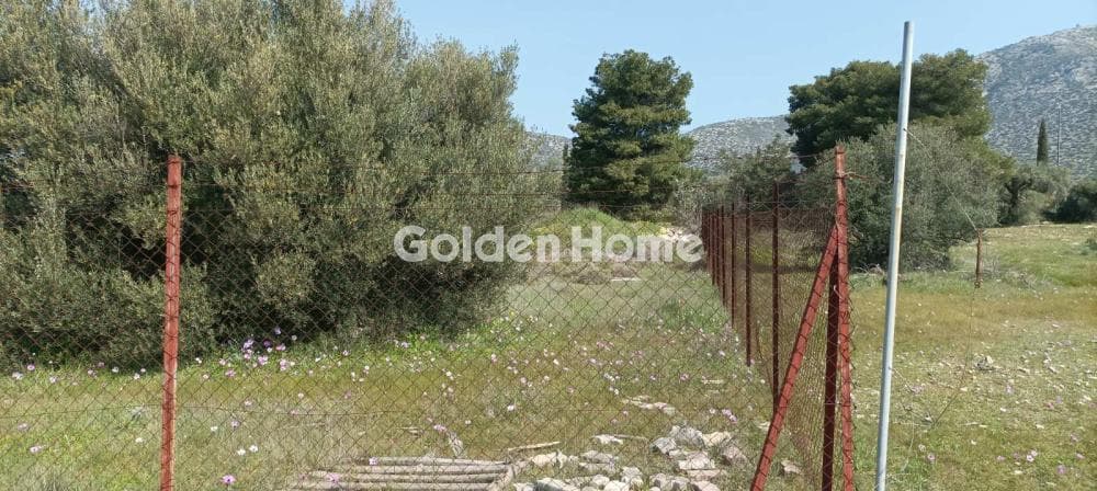 Parcel in Κέντρο, Kalivia Thorikou — Photo 5 of 12