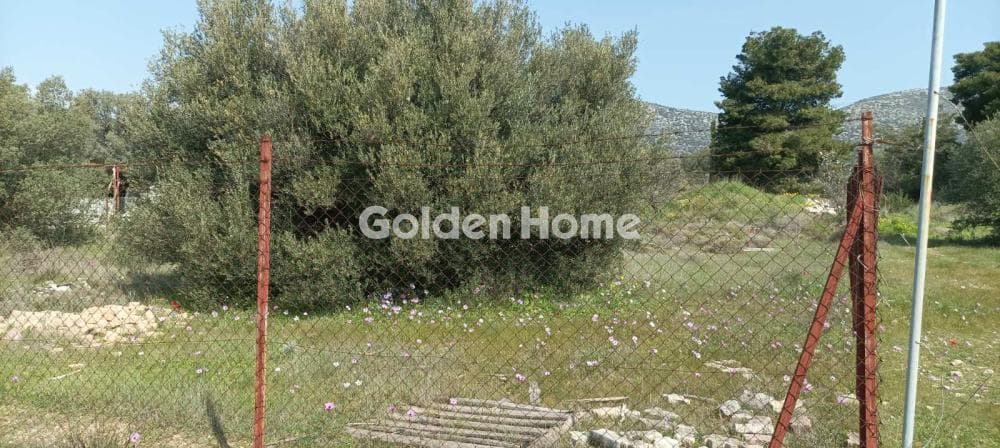 Parcel in Κέντρο, Kalivia Thorikou — Photo 8 of 12