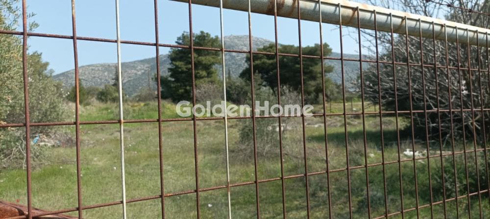 Parcel in Κέντρο, Kalivia Thorikou — Photo 9 of 12