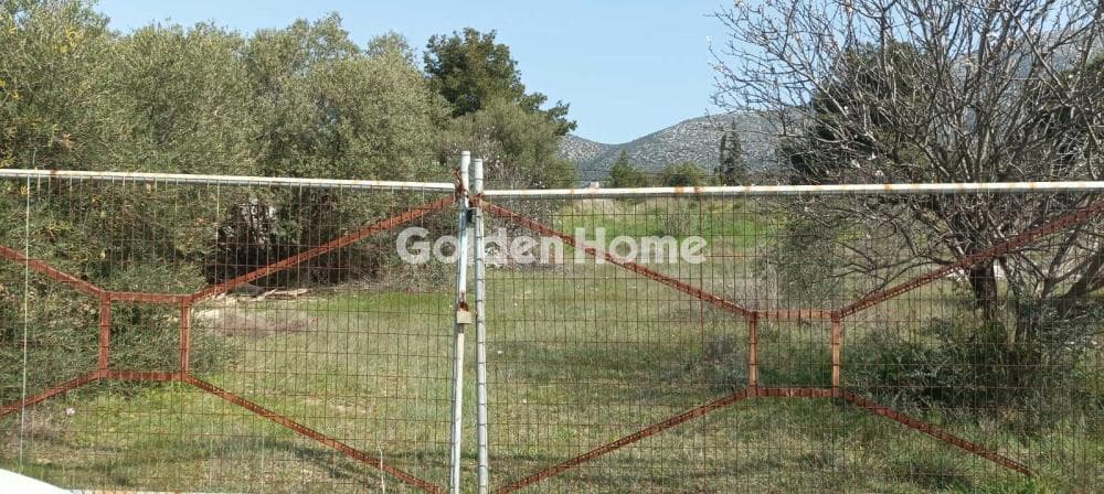 Parcel in Κέντρο, Kalivia Thorikou — Photo 12 of 12