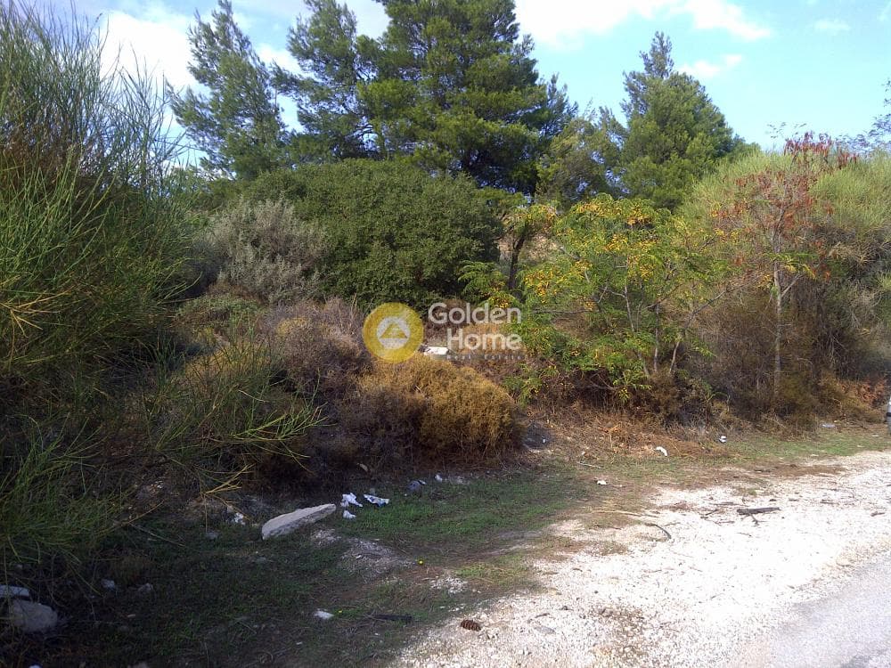 Οικόπεδο στην Καλλιθέα, Πεντέλη — Φωτογραφία 2 από 2