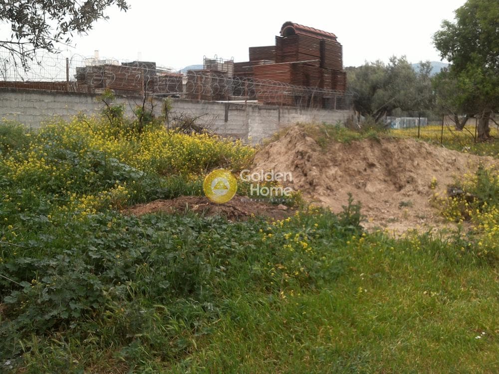 Αγροτεμάχιο στην Μεγάλα Σχοινία Α, Αχαρνές — Φωτογραφία 3 από 5
