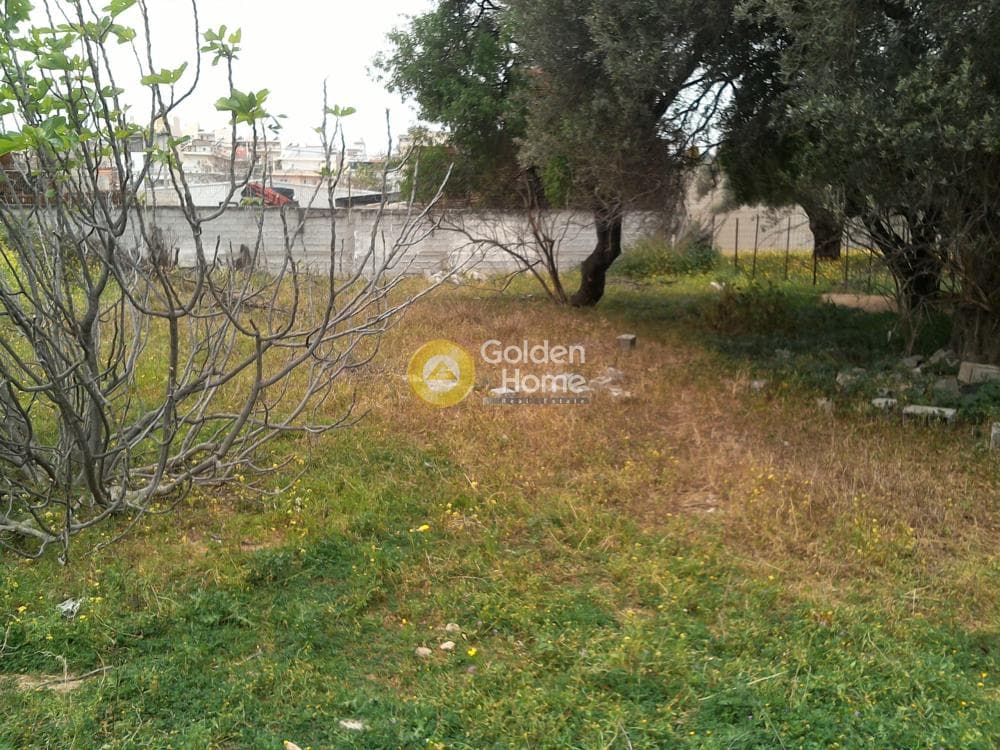 Αγροτεμάχιο στην Μεγάλα Σχοινία Α, Αχαρνές — Φωτογραφία 4 από 5