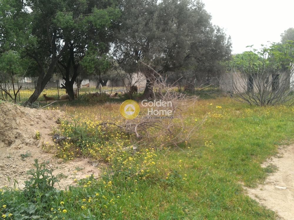 Αγροτεμάχιο στην Μεγάλα Σχοινία Α, Αχαρνές — Φωτογραφία 2 από 5