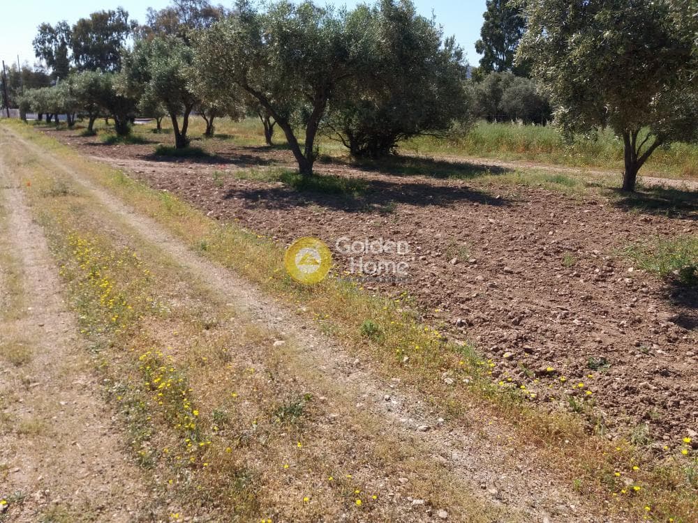 Building Plot in Alikes - Lakka, Anavissos — Photo 1 of 5