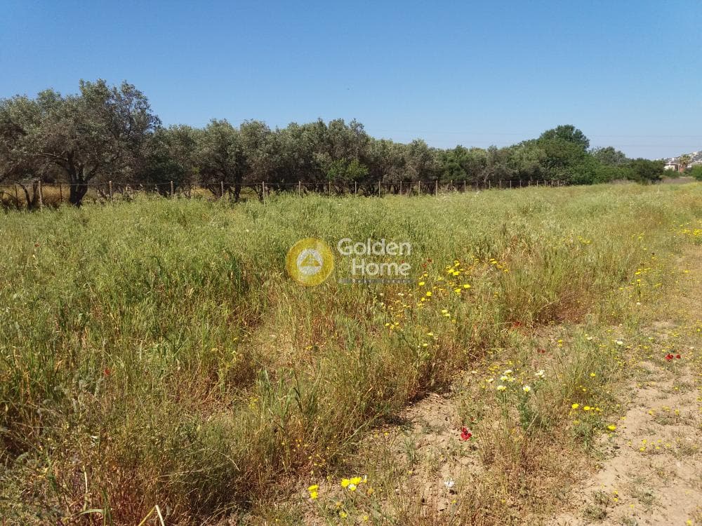 Building Plot in Alikes - Lakka, Anavissos — Photo 4 of 5