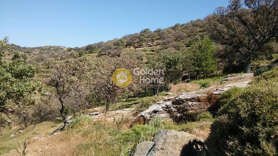 Αγροτεμάχιο στην Οτζιάς, Κέα — Φωτογραφία 2 από 6