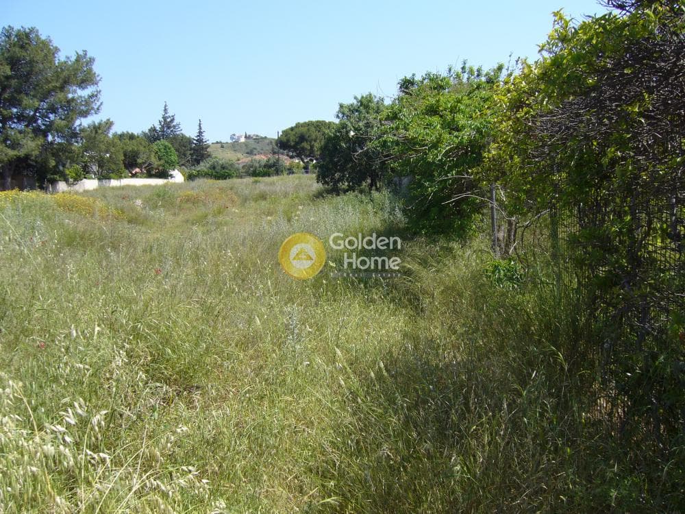 Building Plot in Agia Marina, Koropi — Photo 2 of 6