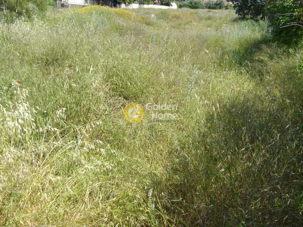 Building Plot in Agia Marina, Koropi — Photo 5 of 6