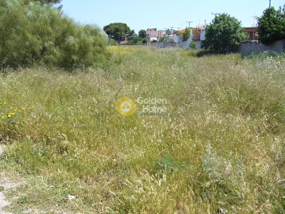 Building Plot in Agia Marina, Koropi — Photo 1 of 6