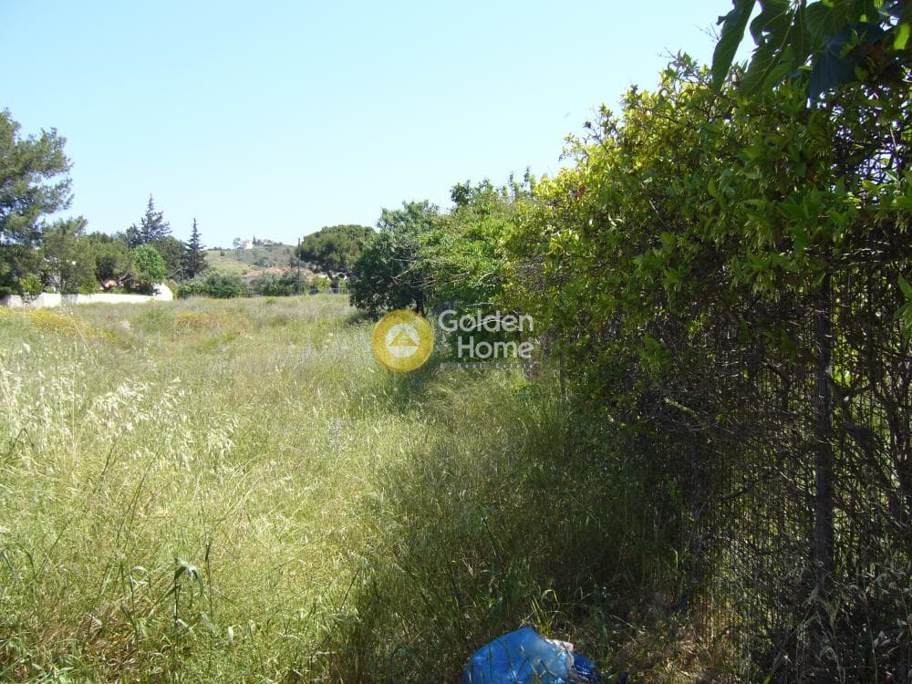 Building Plot in Agia Marina, Koropi — Photo 4 of 6