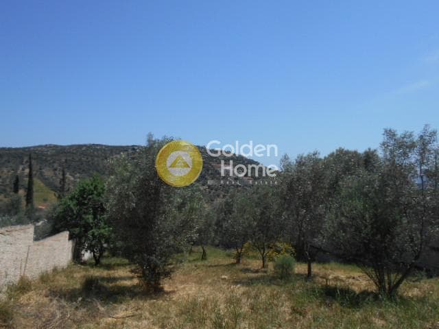 Οικόπεδο στην Αγία Μαρίνα, Παιανία — Φωτογραφία 11 από 13