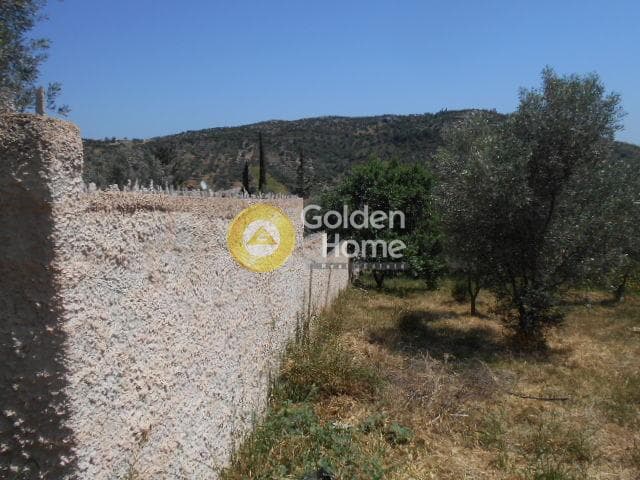 Οικόπεδο στην Αγία Μαρίνα, Παιανία — Φωτογραφία 4 από 13