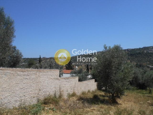 Οικόπεδο στην Αγία Μαρίνα, Παιανία — Φωτογραφία 13 από 13