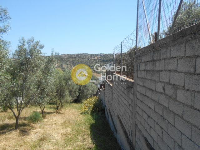 Οικόπεδο στην Αγία Μαρίνα, Παιανία — Φωτογραφία 10 από 13