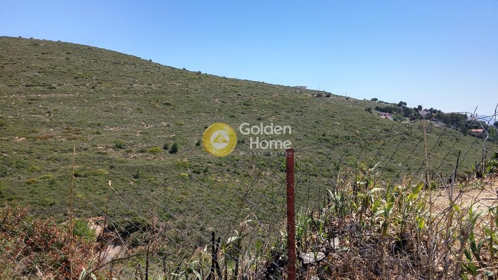 Building Plot in Anthousa, Anthoisa — Photo 5 of 7