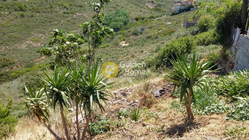 Building Plot in Anthousa, Anthoisa — Photo 3 of 7