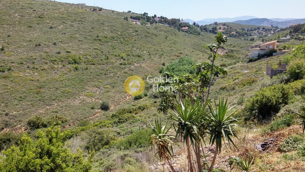 Building Plot in Anthousa, Anthoisa — Photo 6 of 7